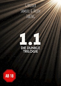 1.1 - Gebrüder Zabing - ebook