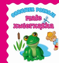 Okruszek poznaje małe zwierzątka - Elżbieta Śmietanka-Combik (ilustr.), Jolanta Czarnecka (ilustr.), Anna Wiśniewska - książka