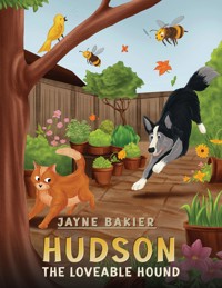 Hudson - Jayne Bakier - ebook