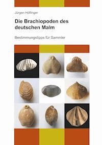 Die Brachiopoden des deutschen Malm - Jürgen Höflinger - ebook