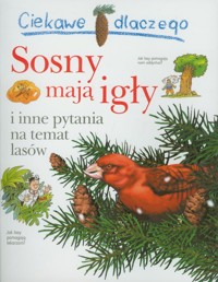 Ciekawe dlaczego Sosny mają igły - Gaff Jackie - książka