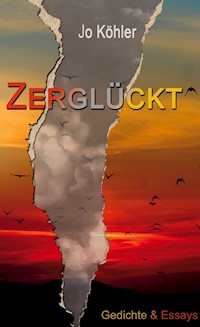 Zerglückt - Jo Köhler - ebook