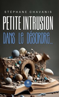 Petite intrusion dans le désordre… - Stéphane Chavanis - ebook