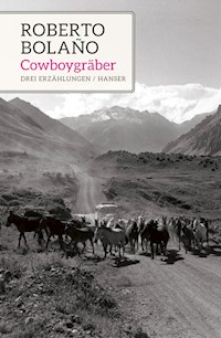 Cowboygräber - Bolano Roberto - ebook