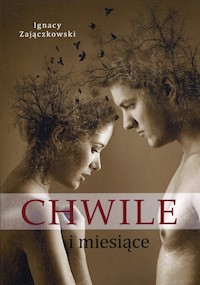 Chwile i miesiące - Zajączkowski Ignacy - książka