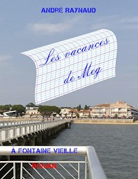 Les vacances de Meg - André Raynaud - ebook