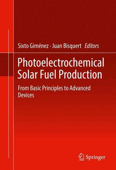 Photoelectrochemical Solar Fuel Production