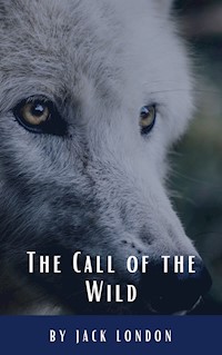The Call of the Wild - Jack London - ebook