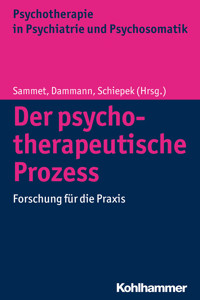 Der psychotherapeutische Prozess -  - ebook
