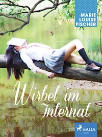 Wirbel im Internat - Marie Louise Fischer - ebook