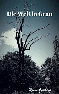 Die Welt in grau - Marie Grünberg - ebook
