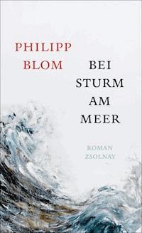 Bei Sturm am Meer - Blom Philipp - ebook
