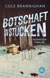 Botschaft in Stücken - Cole Brannighan - ebook