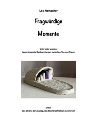 Fragwürdige Momente - Leo Hamacher - ebook