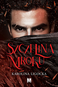 Szczelina mroku - Ligocka Karolina - ebook + audiobook + książka