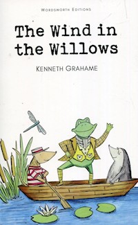 The Wind in the Willows - Kenneth Grahame - ebook + audiobook + książka