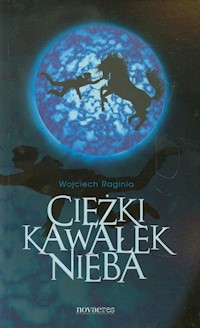 Ciężki kawałek nieba - Wojciech Raginia - książka