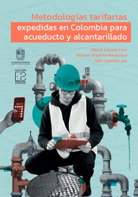 Metodologías tarifarias expedidas en Colombia para acueducto y alcantarillado - José Andelfo Lizcano Caro - ebook