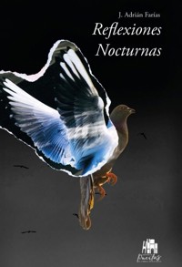 Reflexiones nocturnas - J. Adrián Farías - ebook