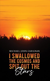 I Swallowed the Cosmos and Spit Out the Stars - Michael Carignan - ebook