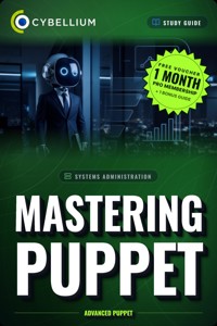 Mastering Puppet - Cybellium - ebook