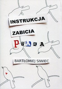 Instrukcja zabicia ptaka - Siwiec Bartłomiej - książka