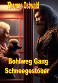 Bohlweg Gang - Schneegestöber - Thomas Ostwald - ebook