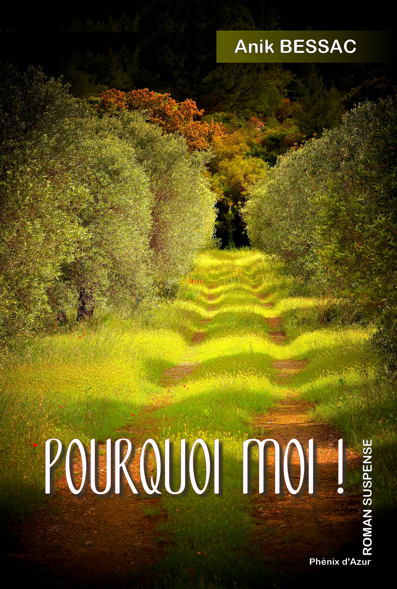 Pourquoi moi ! - BESSAC - ebook