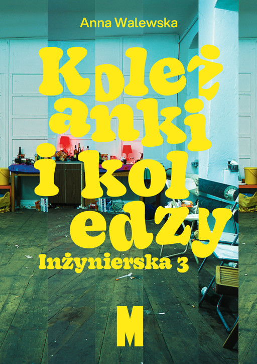 Okładka książki Koleżanki i koledzy. Inżynierska 3
