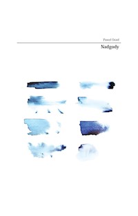 Nadgody - Orzeł Paweł - książka