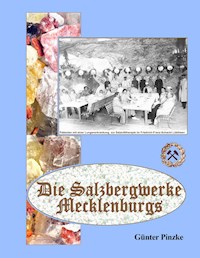 Die Salzbergwerke Mecklenburgs - Günter Pinzke - ebook