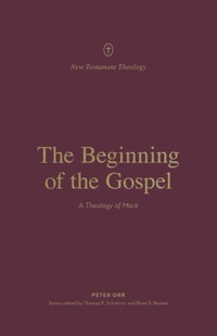 The Beginning of the Gospel - Peter Orr - ebook