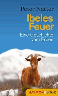 Ibeles Feuer - Peter Natter - ebook