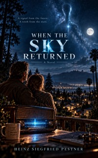 When the Sky returned - Heinz Siegfried Pestner - ebook