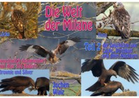 Die Welt der Milane Teil 2 - Jochen Walz - ebook