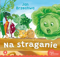 Na straganie - Brzechwa Jan - książka