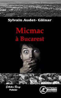 Micmac à Bucarest - Sylvain Audet-Găinar - ebook