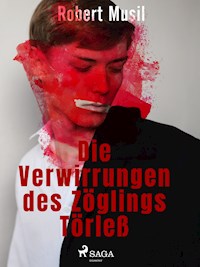 Die Verwirrungen des Zöglings Törleß - Robert Musil - ebook