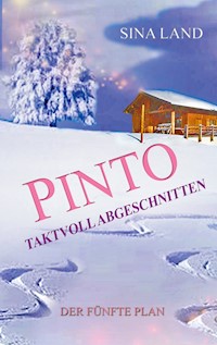 Pinto - Der fünfte Plan - Sina Land - ebook