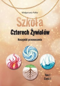 Szkoła Czterech Żywiołów Naszyjniki przeznaczenia - Pałka Małgorzata - książka