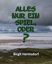 Alles nur ein Spiel, oder? - Birgit Hermsdorf - ebook
