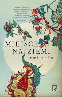 Miejsce na ziemi - Umi Sinha - książka