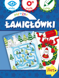 Mroźne łamigłówki - Wiśniewska Anna - książka