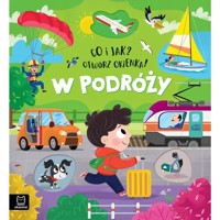 Co i jak? Otwórz okienka! W podróży - Agnieszka Bator - książka