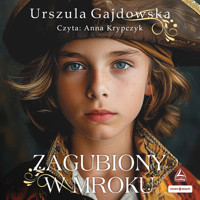 Zagubiony w mroku - Gajdowska Urszula - audiobook