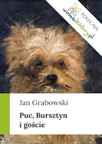 Puc, Bursztyn i goście - Jan Grabowski - ebook + audiobook