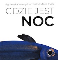 Gdzie jest noc - Agnieszka Wolny-Hamkało - książka