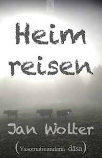 Heimreisen - Jan Wolter - ebook
