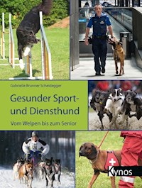 Gesunder Sport- und Diensthund - Gabrielle Scheidegger - ebook