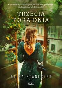 Trzecia pora dnia - Alina Staneczek - książka